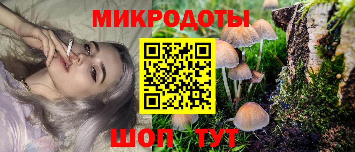 Мыски  Галлюциногенные грибы GOLDEN TEACHER  Вход с VPN  Галлюциногенные грибы Psilocybine cubensis 