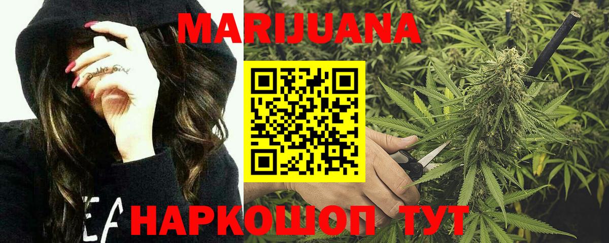 Каннабис планчик  Вход с VPN  Мыски  МАРИХУАНА Bruce Banner  Марихуана сатива  МАРИХУАНА план 